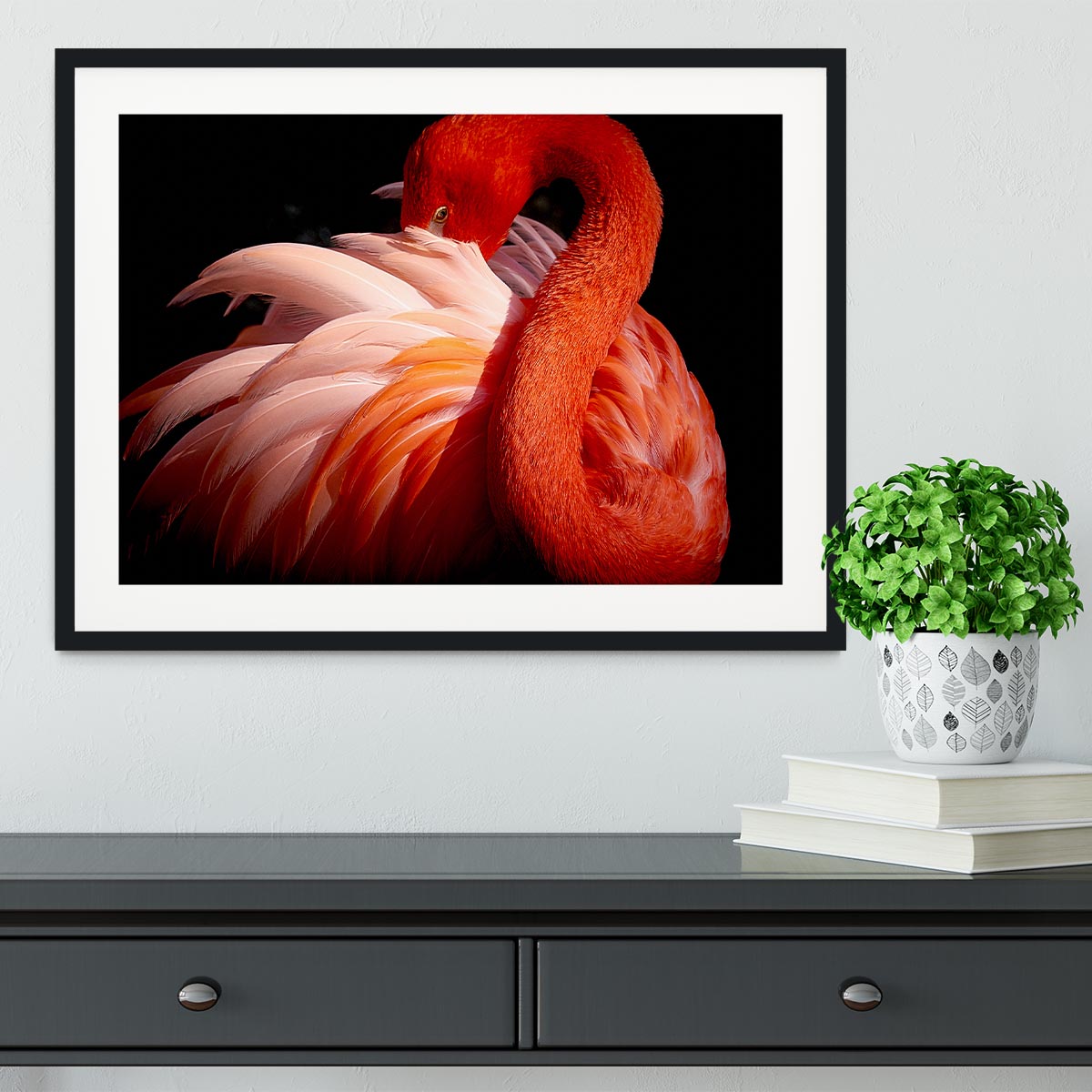 flamingo Framed Print - 1x - 1