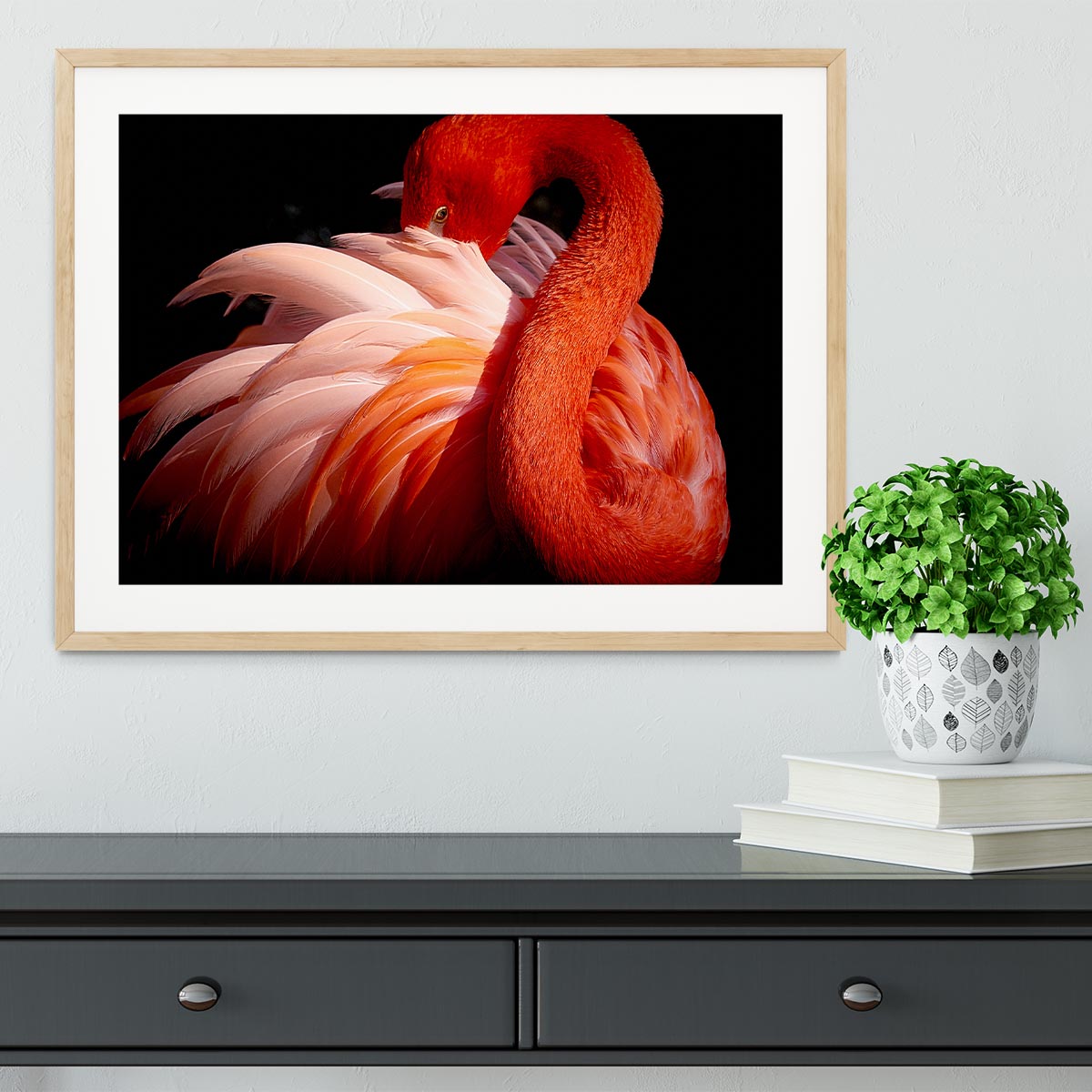 flamingo Framed Print - 1x - 3