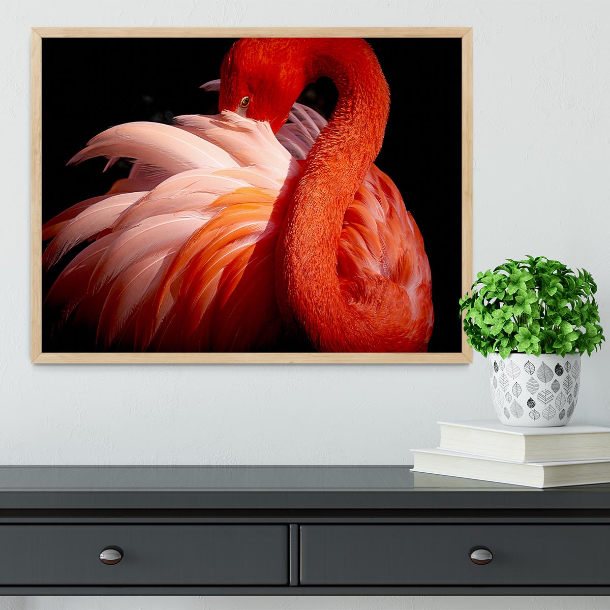 flamingo Framed Print - 1x - 4