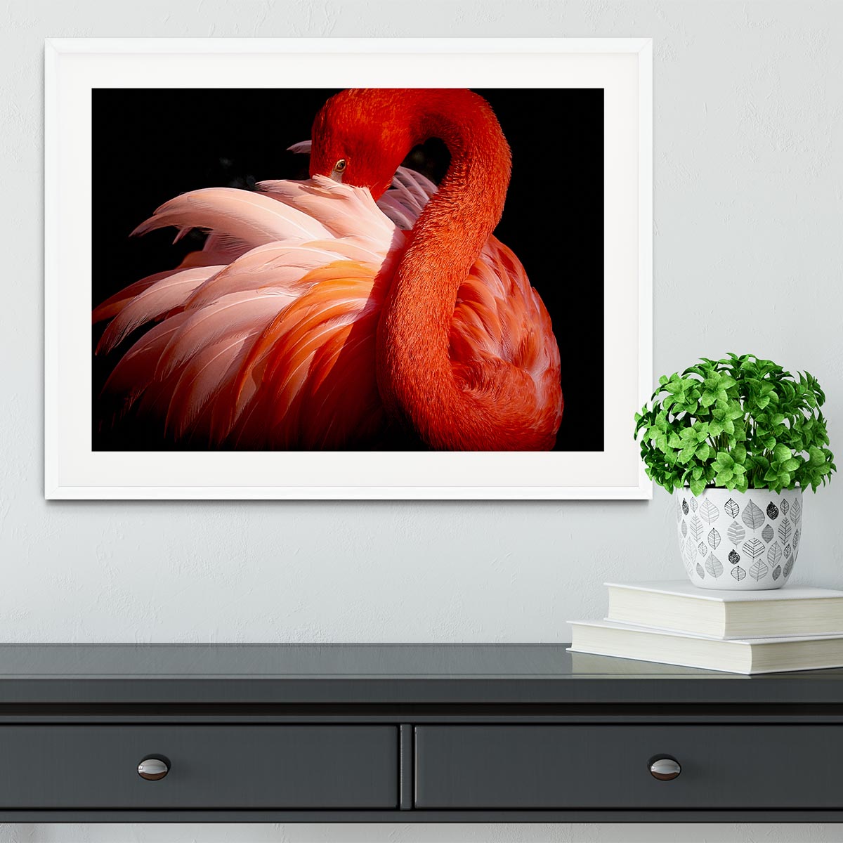 flamingo Framed Print - 1x - 5