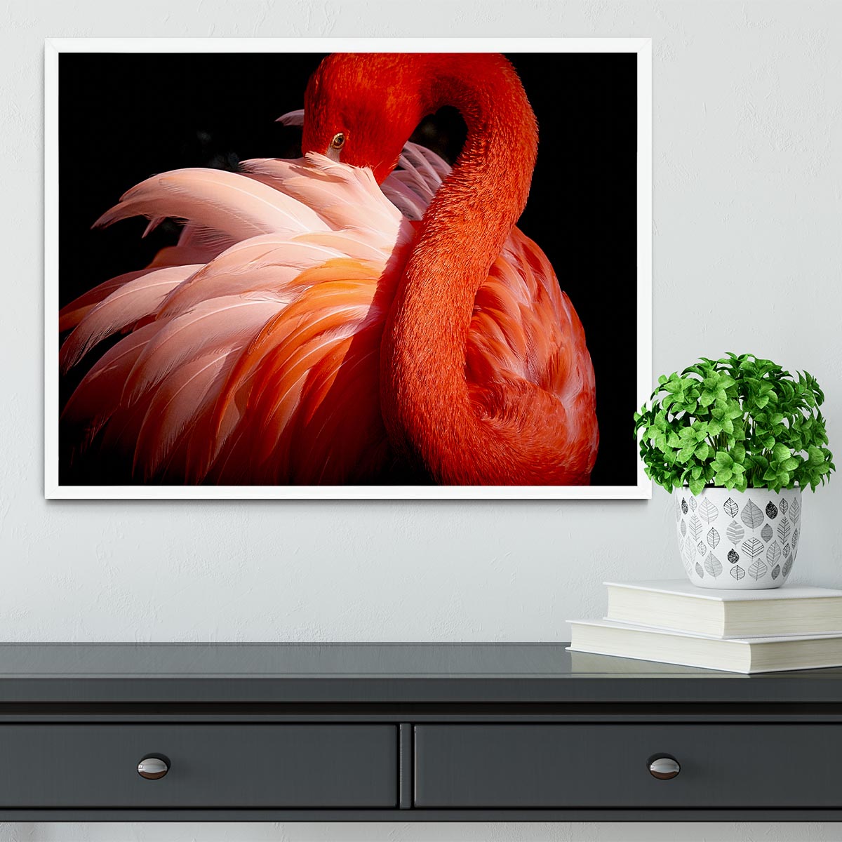 flamingo Framed Print - 1x -6