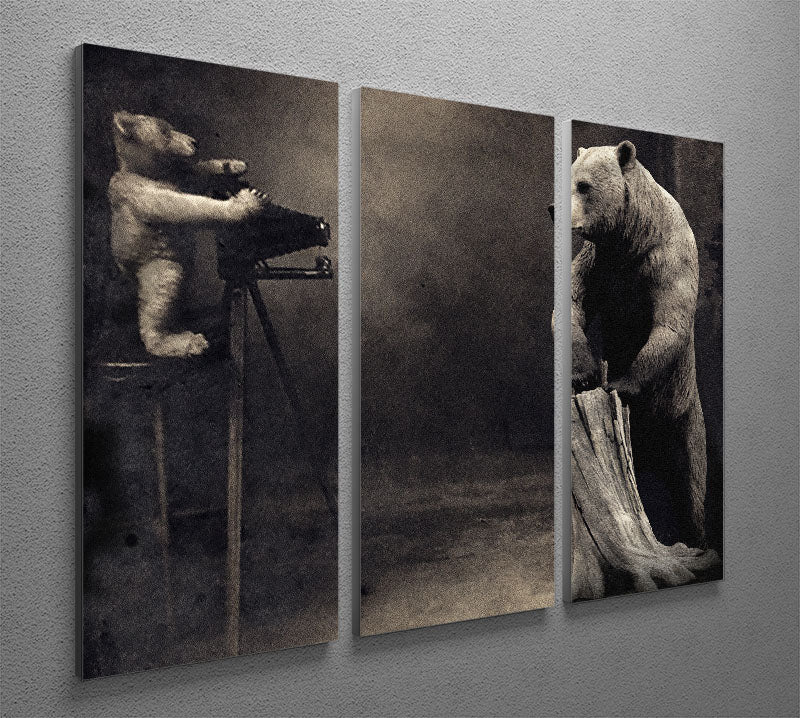 hold that 3 Split Panel Canvas Print - 1x - 2