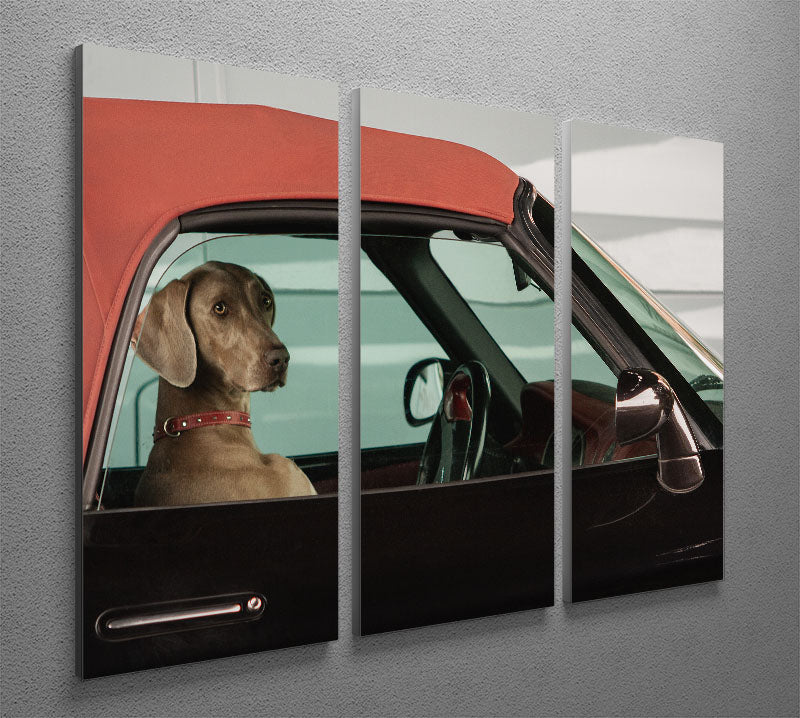 lady 3 Split Panel Canvas Print - 1x - 2