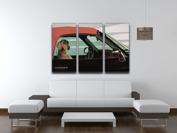 lady 3 Split Panel Canvas Print - 1x - 3