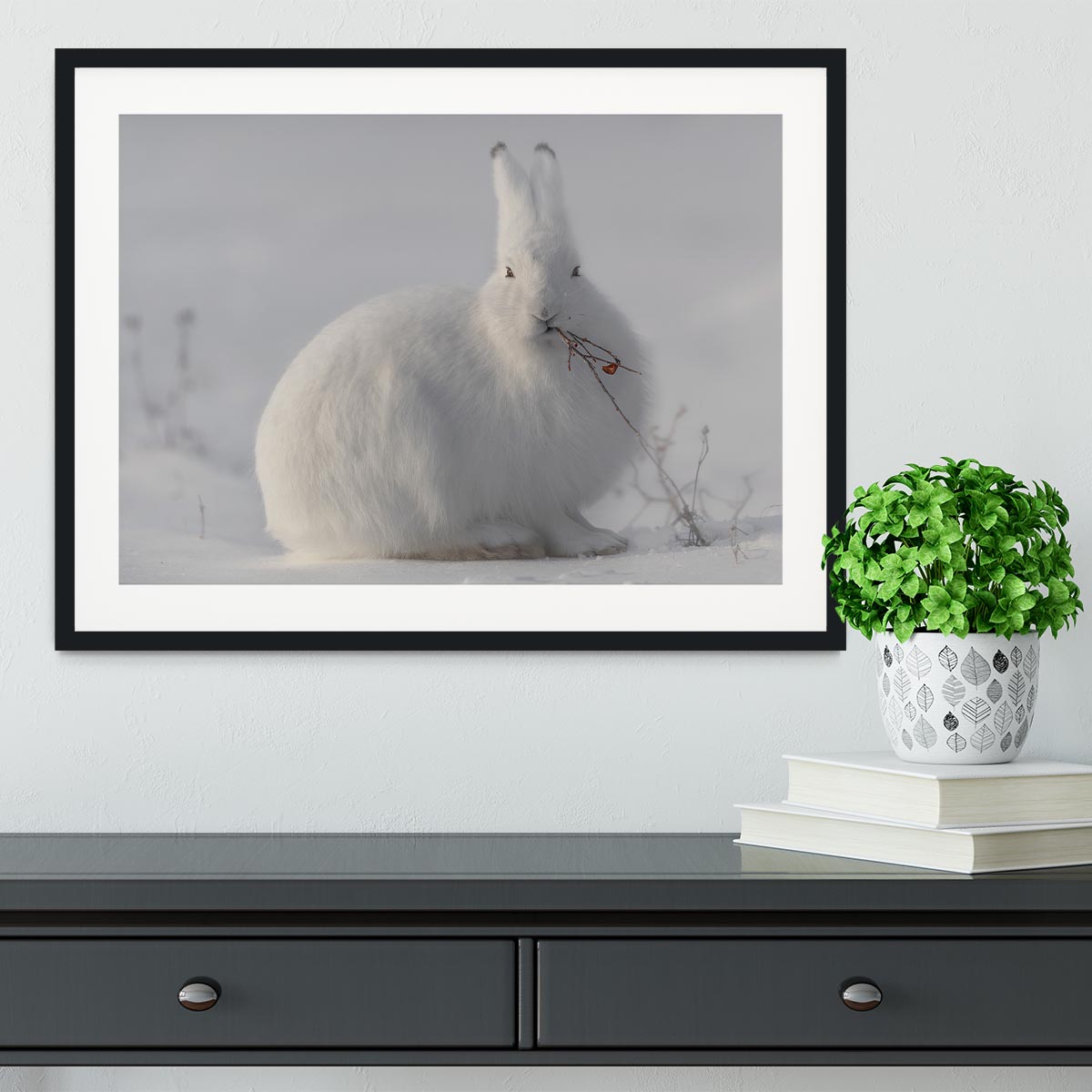 wild arctic hare Framed Print - 1x - 1