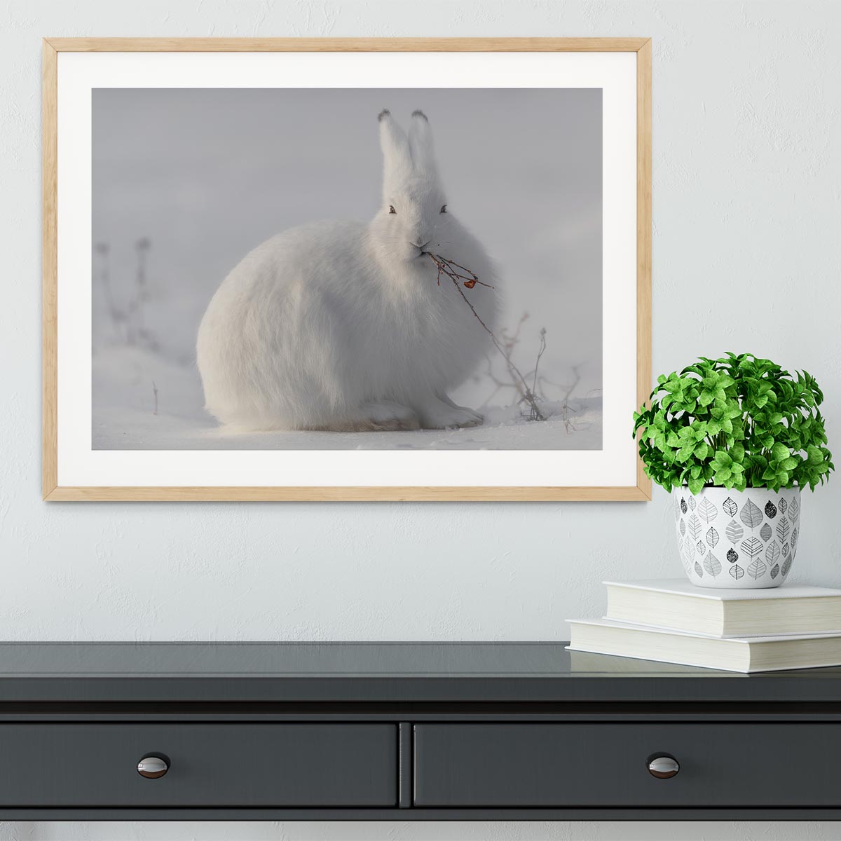 wild arctic hare Framed Print - 1x - 3