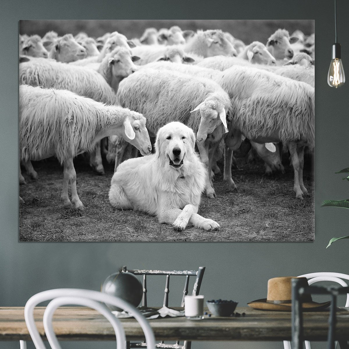 Lab Sat Infront Of Sheet Canvas Print or Poster - Canvas Art Rocks - 3