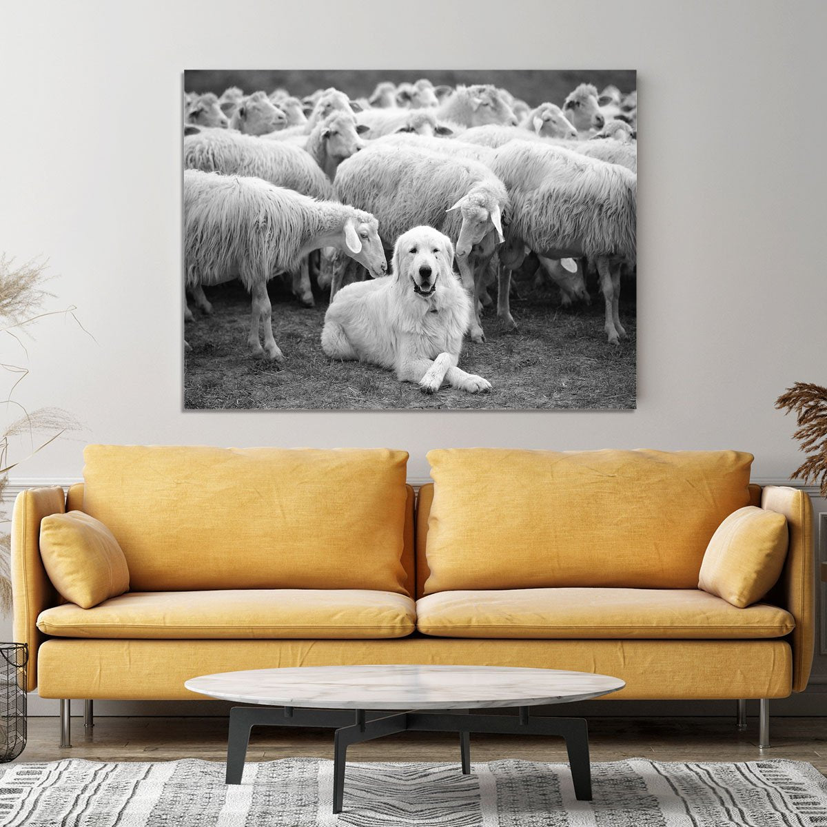 Lab Sat Infront Of Sheet Canvas Print or Poster - Canvas Art Rocks - 4