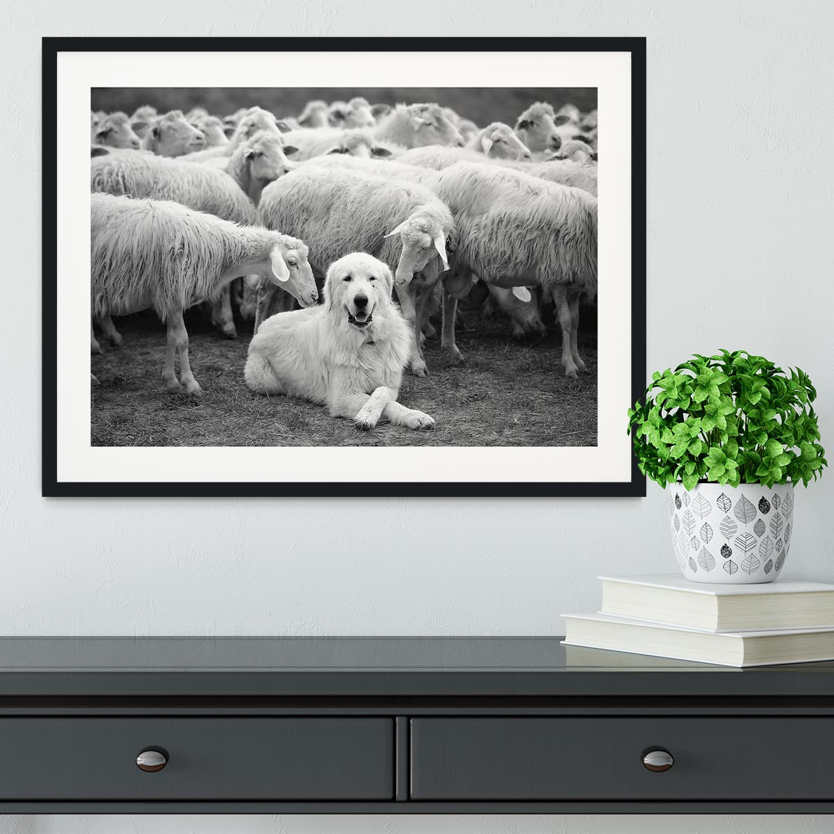 Lab Sat Infront Of Sheet Framed Print - Canvas Art Rocks - 1