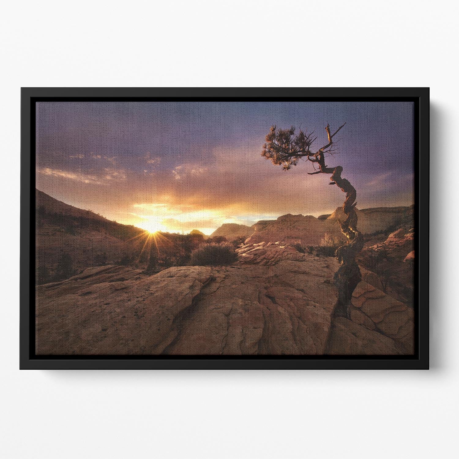 Distorted Floating Framed Canvas - Canvas Art Rocks - 2