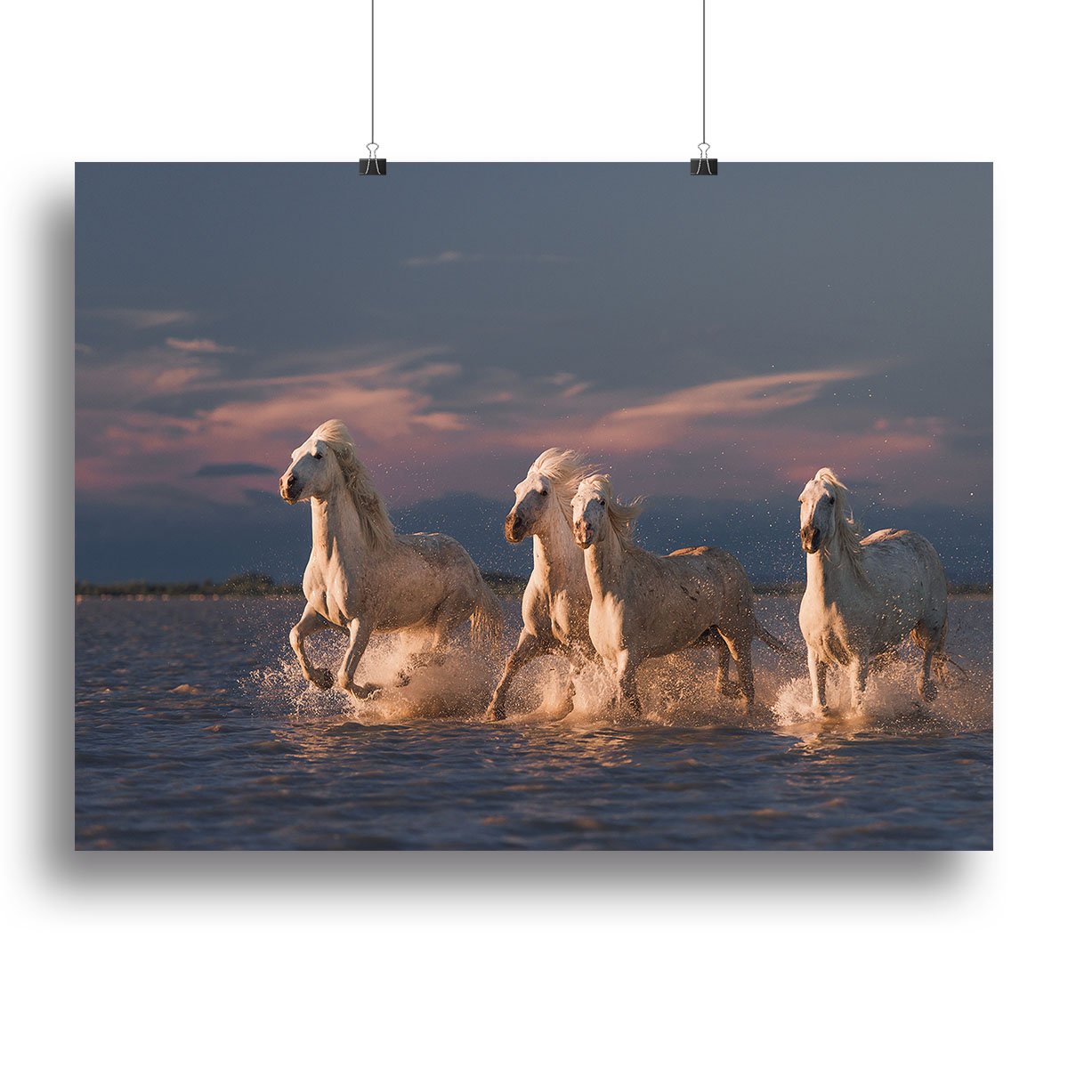 Wite Horses Running In Water 2 Canvas Print or Poster - Canvas Art Rocks - 2