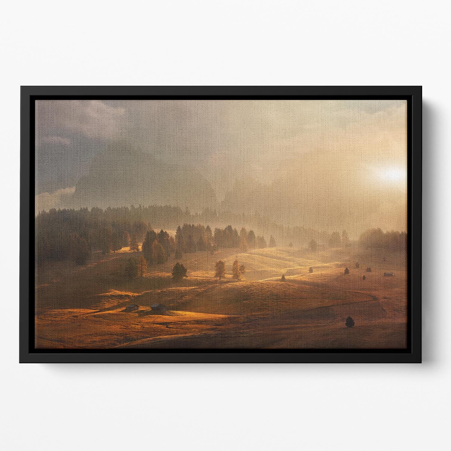 Morning On Alpine Meadow Floating Framed Canvas - Canvas Art Rocks - 2