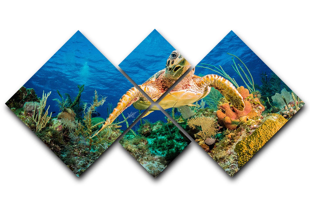 Hawksbill Turtle Swimming Through Caribbean Reef 4 Square Multi Panel Canvas - Canvas Art Rocks - 1