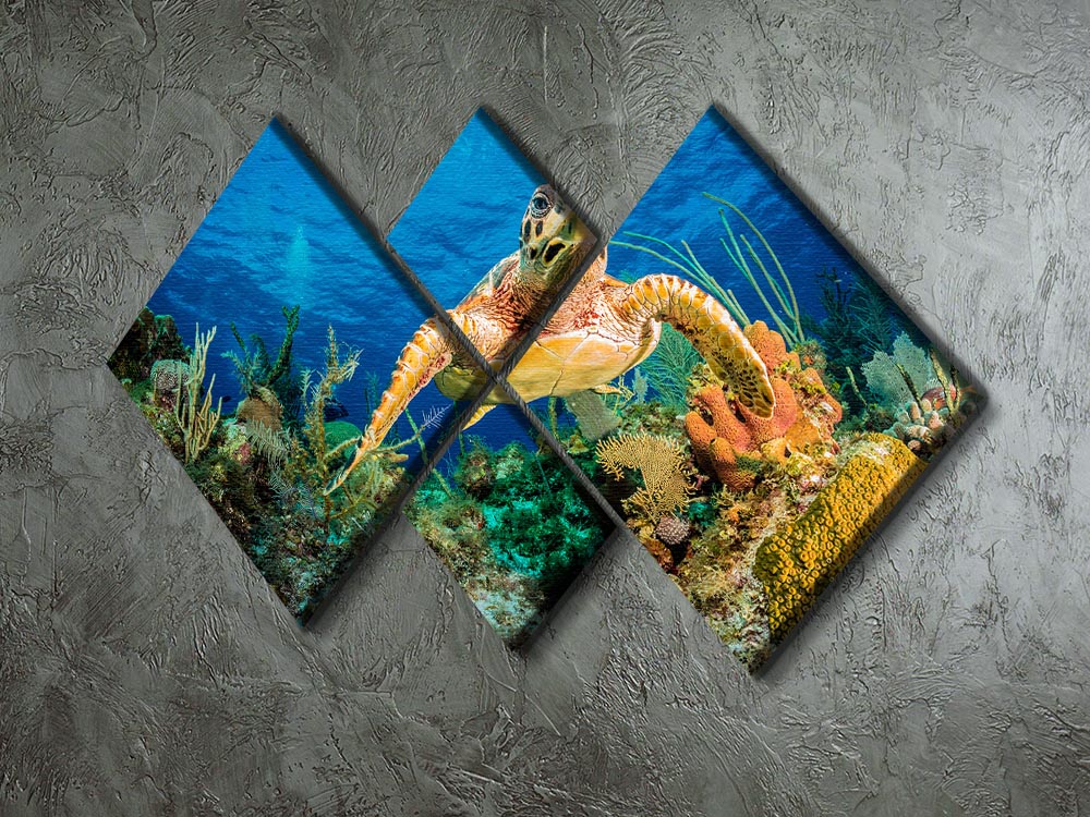 Hawksbill Turtle Swimming Through Caribbean Reef 4 Square Multi Panel Canvas - Canvas Art Rocks - 2