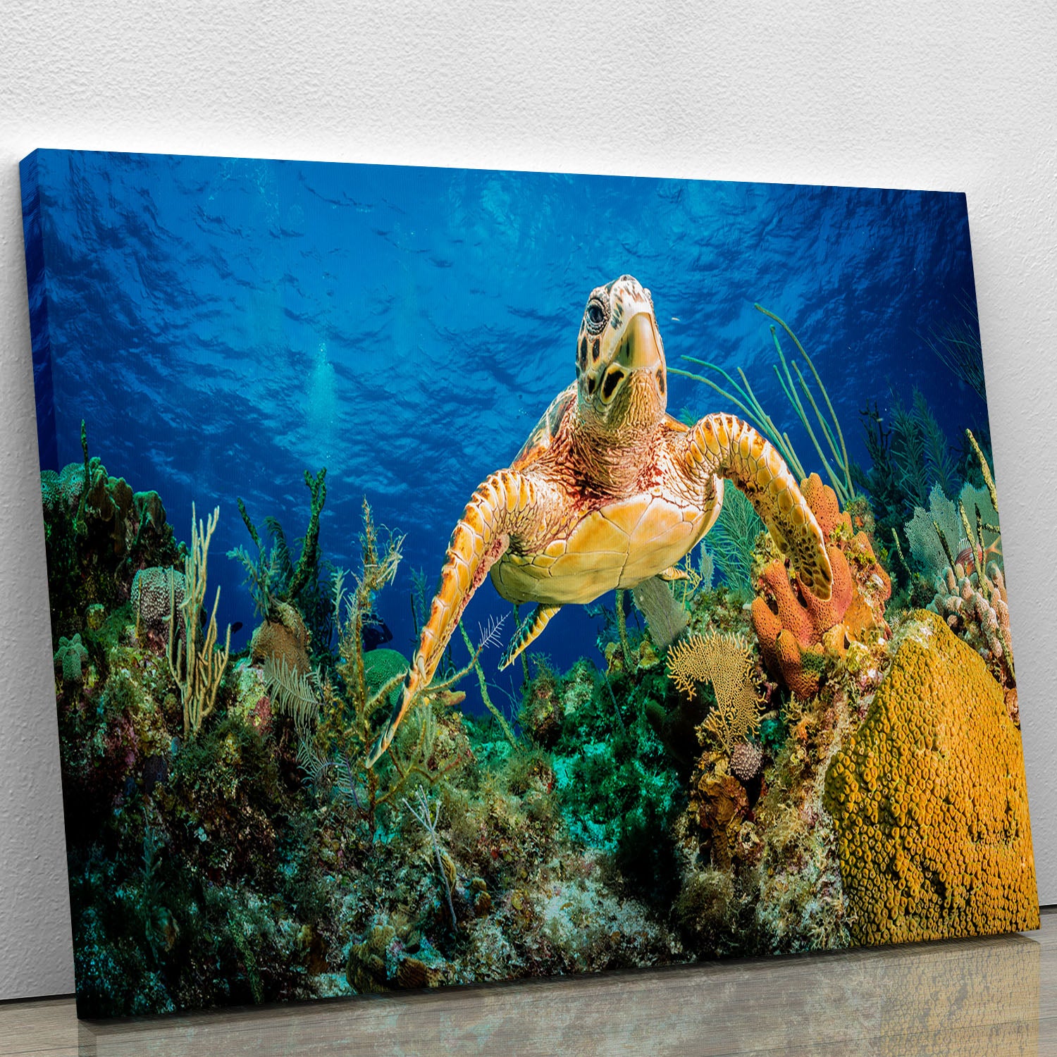 Hawksbill Turtle Swimming Through Caribbean Reef Canvas Print or Poster - Canvas Art Rocks - 1