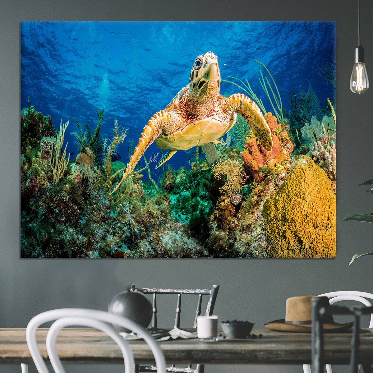 Hawksbill Turtle Swimming Through Caribbean Reef Canvas Print or Poster - Canvas Art Rocks - 3