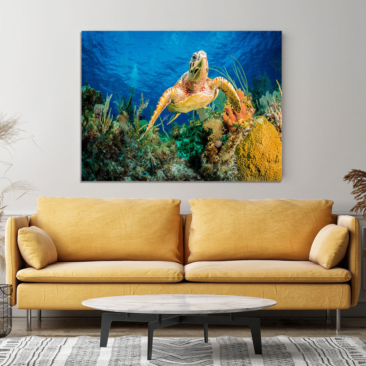 Hawksbill Turtle Swimming Through Caribbean Reef Canvas Print or Poster - Canvas Art Rocks - 4