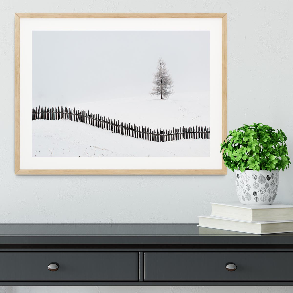 The Larch Behind The Fence Framed Print - Canvas Art Rocks - 3