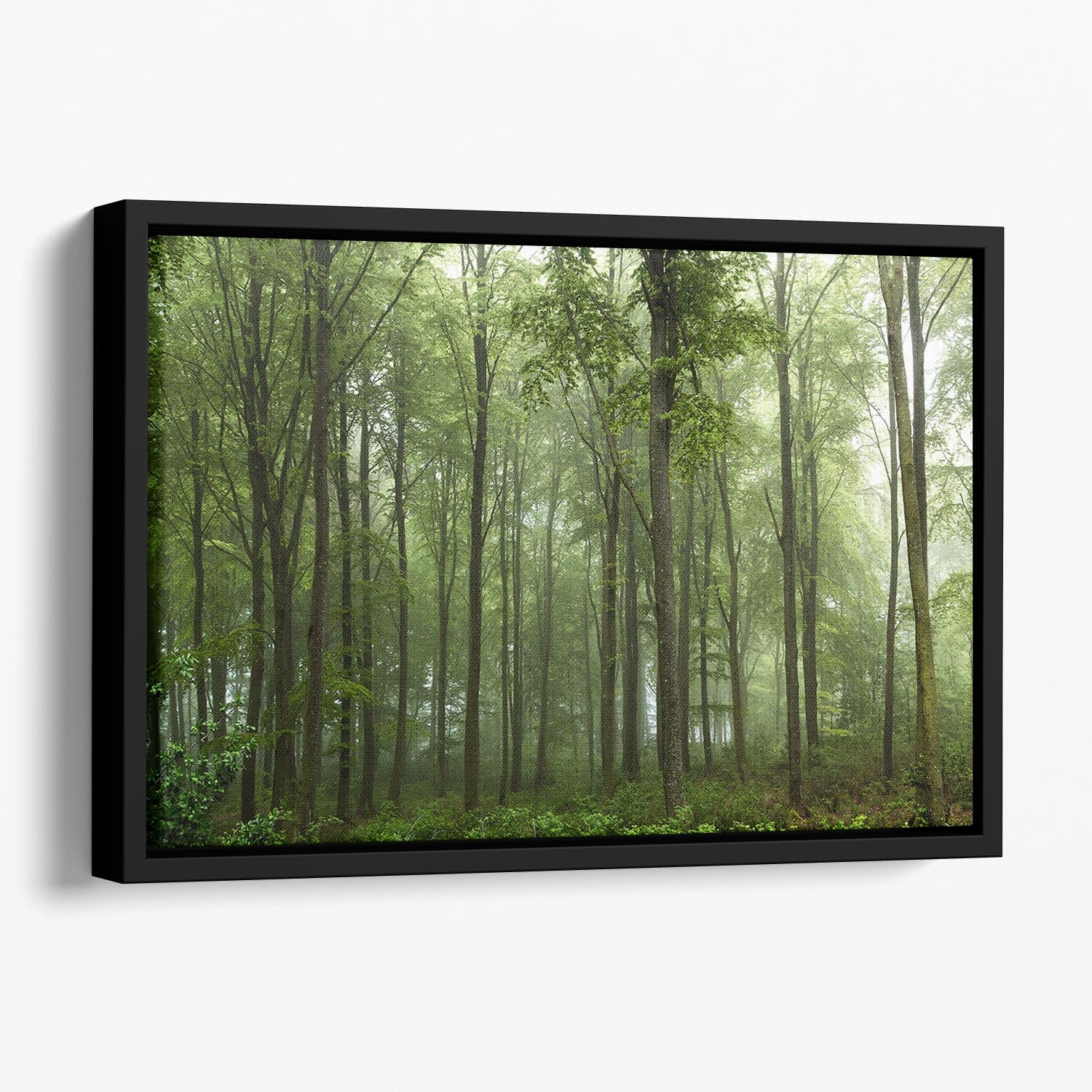 Forest Floating Framed Canvas - Canvas Art Rocks - 1