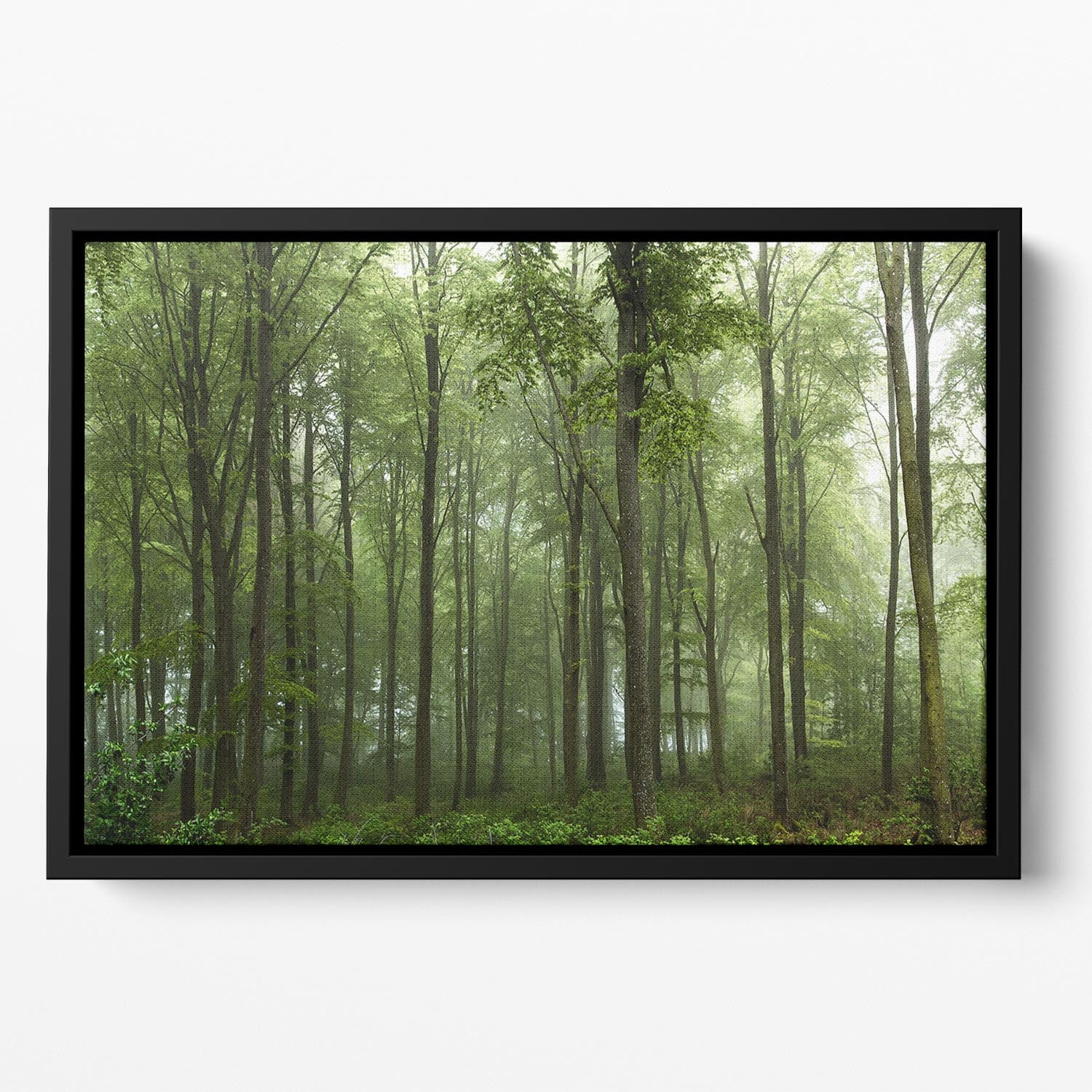 Forest Floating Framed Canvas - Canvas Art Rocks - 2