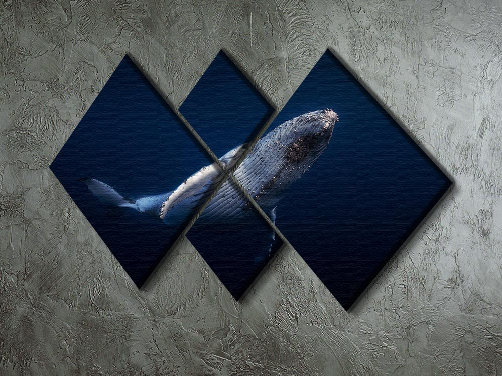 Humpback Whale 4 Square Multi Panel Canvas - Canvas Art Rocks - 2