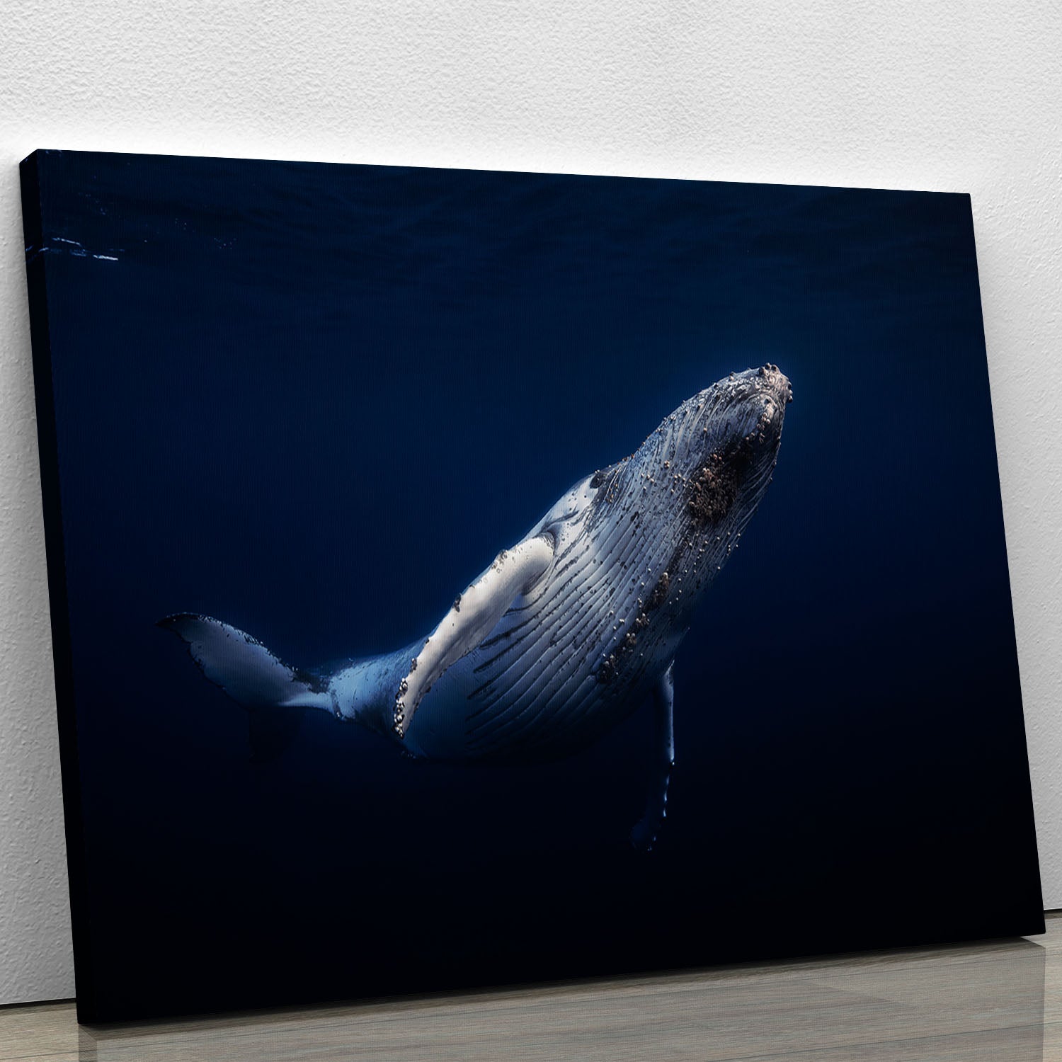 Humpback Whale Canvas Print or Poster - Canvas Art Rocks - 1