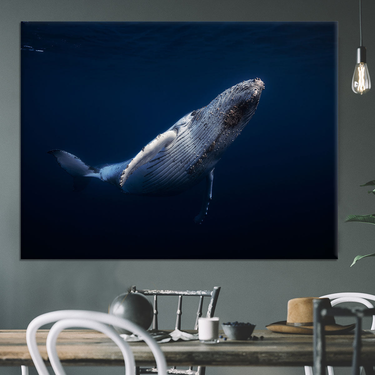 Humpback Whale Canvas Print or Poster - Canvas Art Rocks - 3