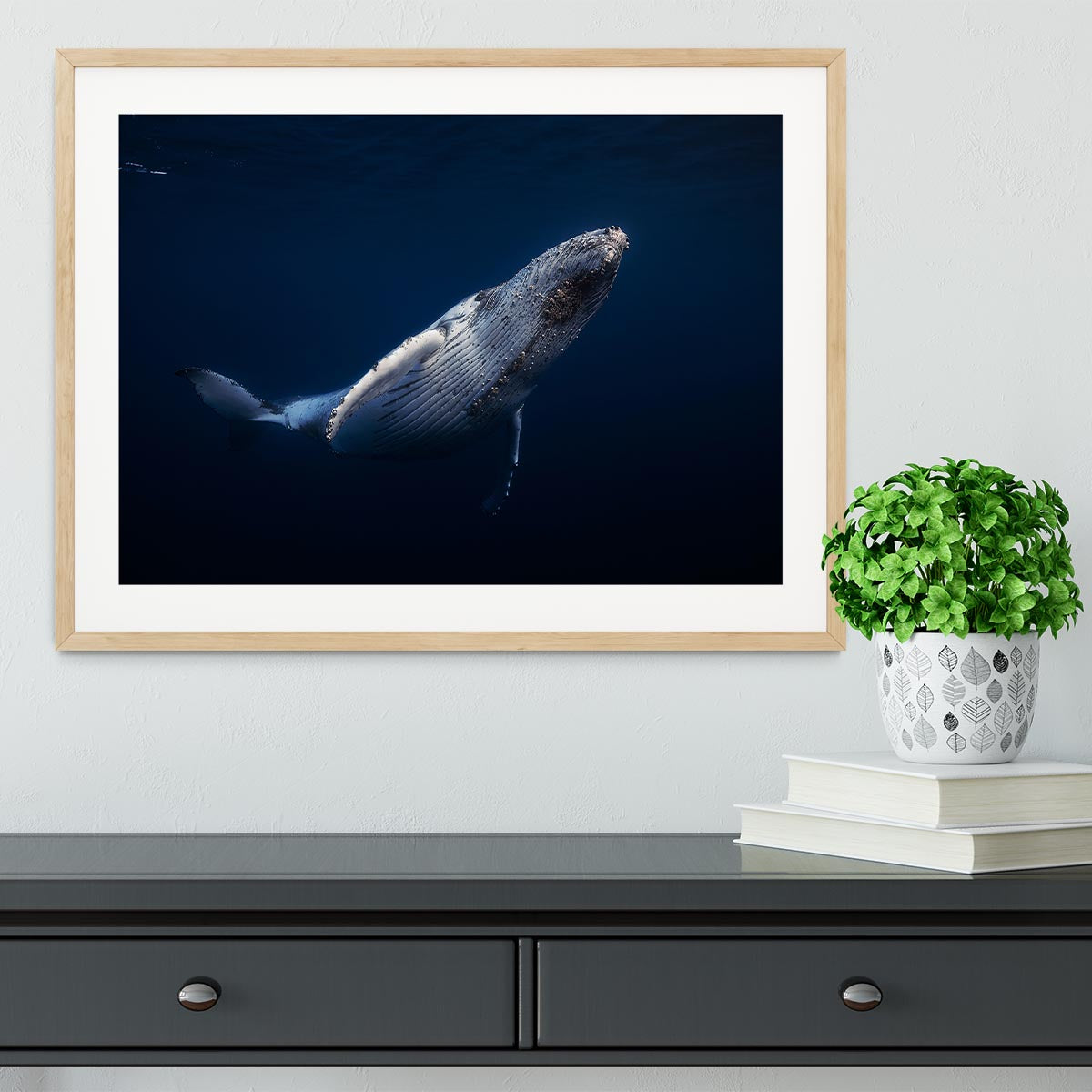 Humpback Whale Framed Print - Canvas Art Rocks - 3