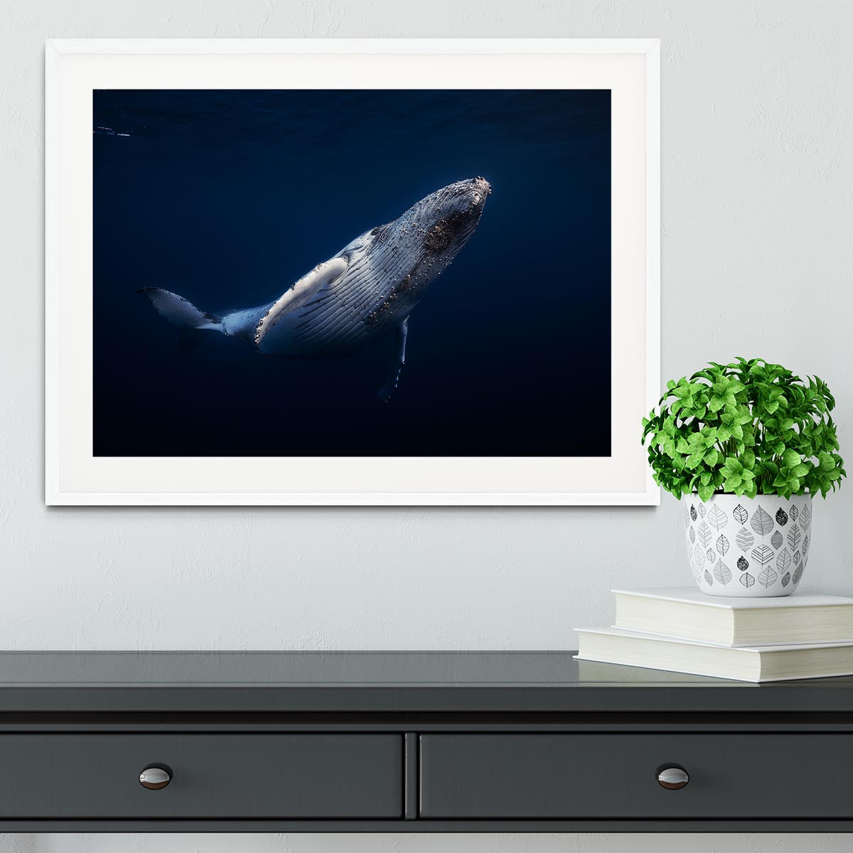 Humpback Whale Framed Print - Canvas Art Rocks - 5