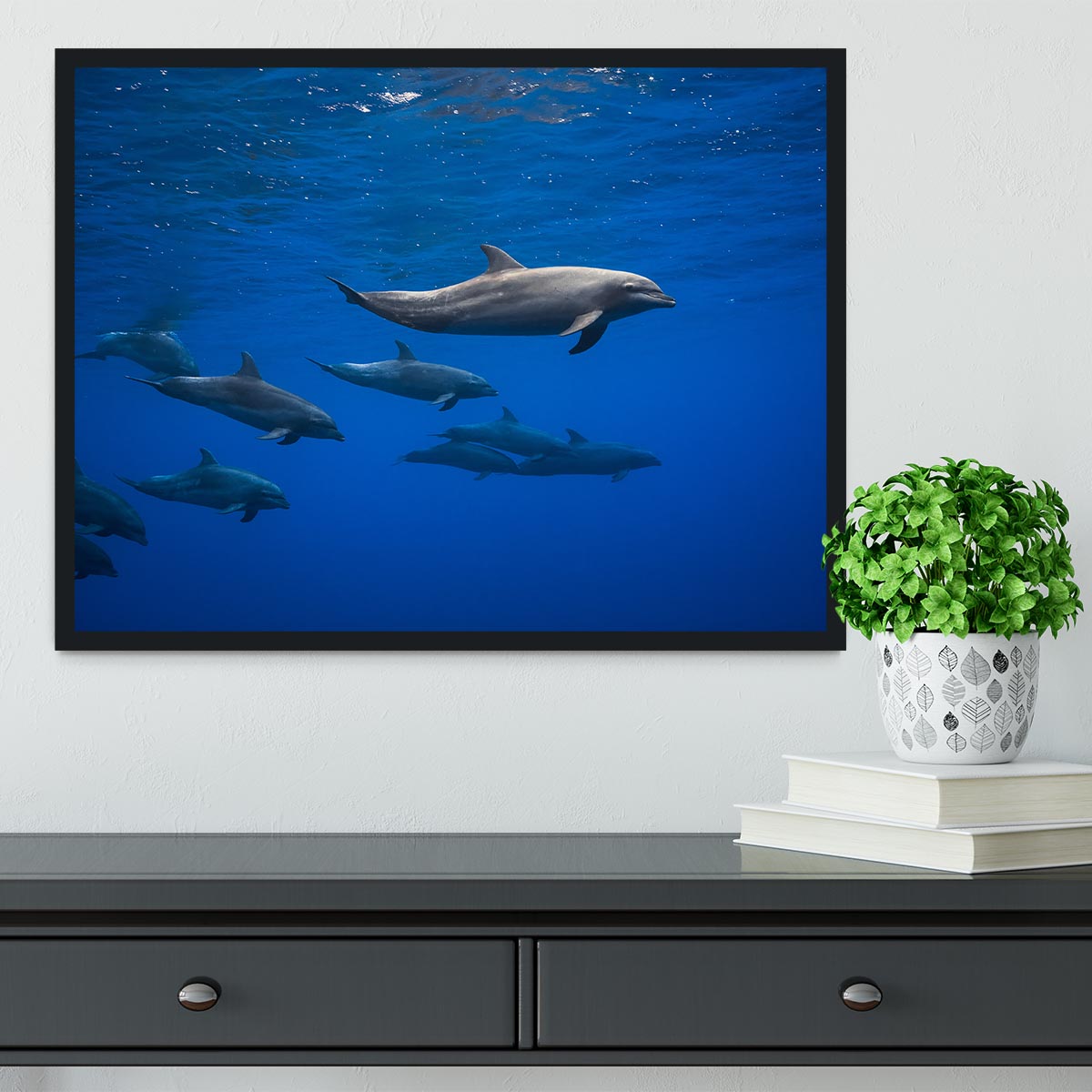 Dolphins Framed Print - 1x - 2