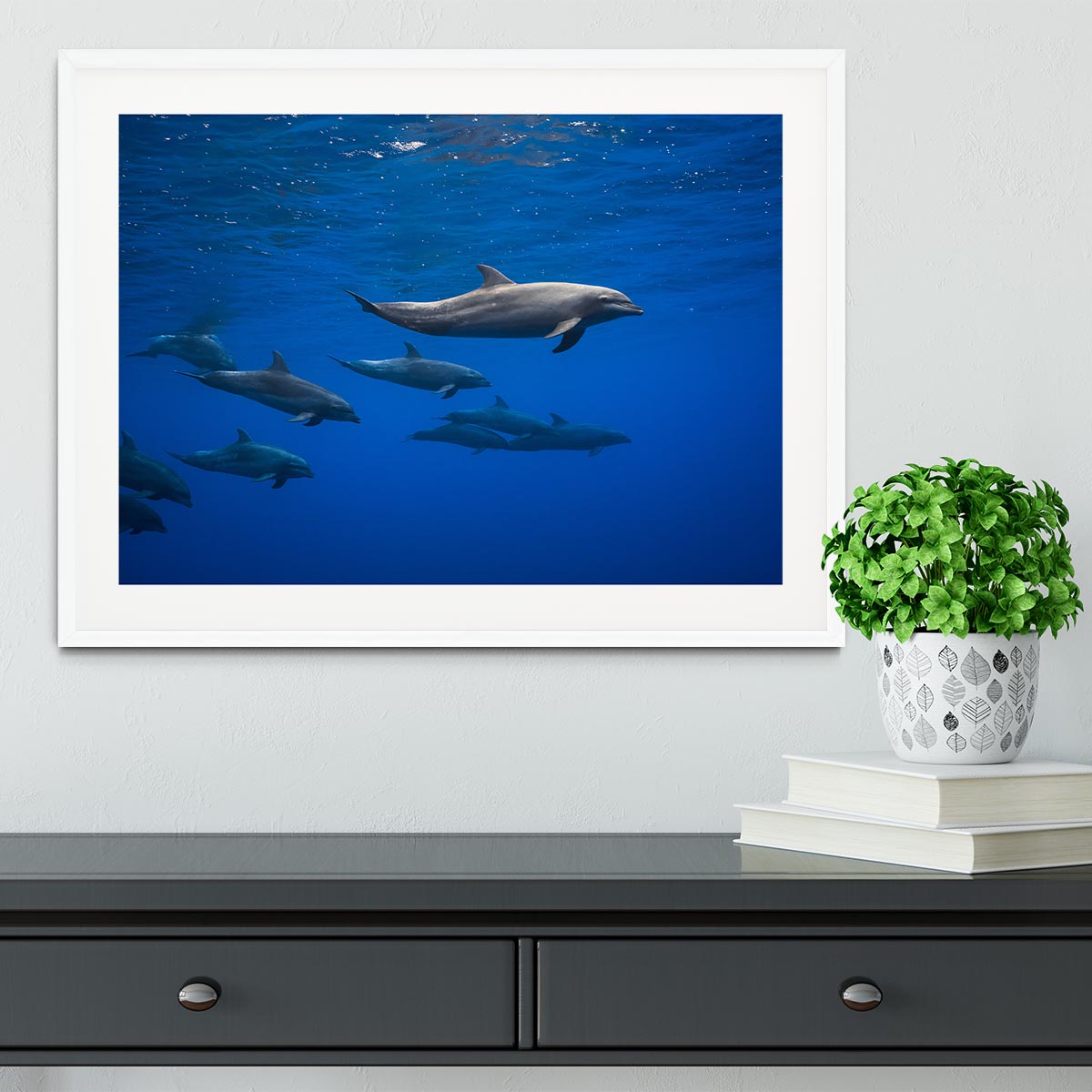 Dolphins Framed Print - 1x - 5