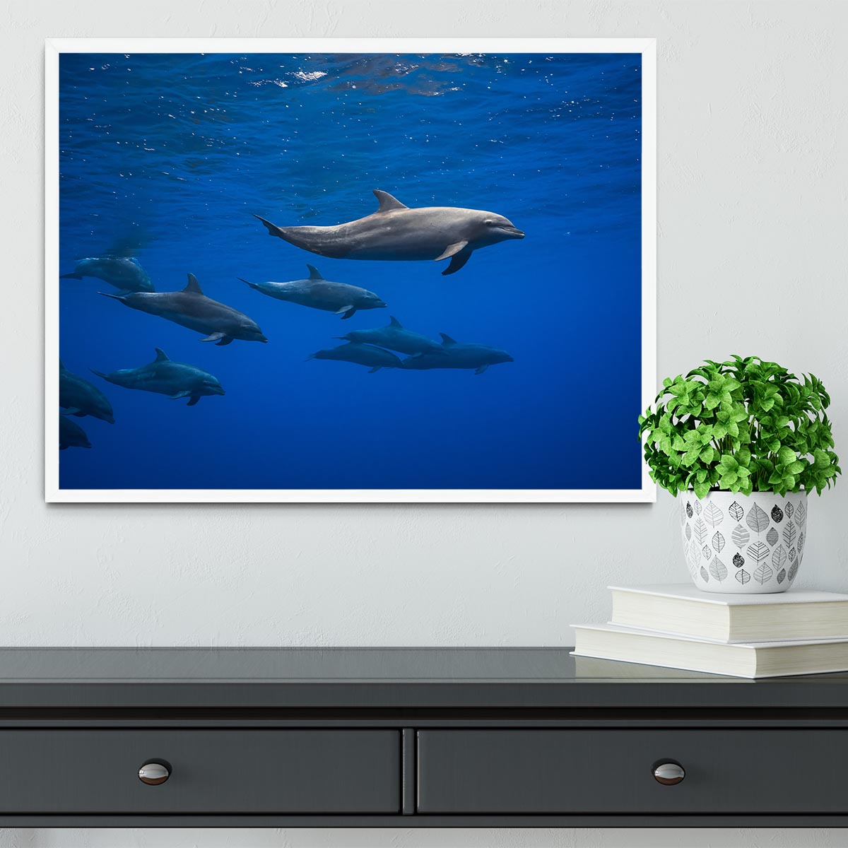 Dolphins Framed Print - 1x -6