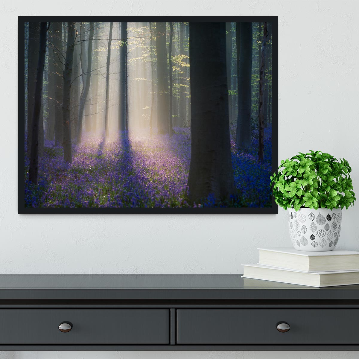 Velvet Light Framed Print - Canvas Art Rocks - 2