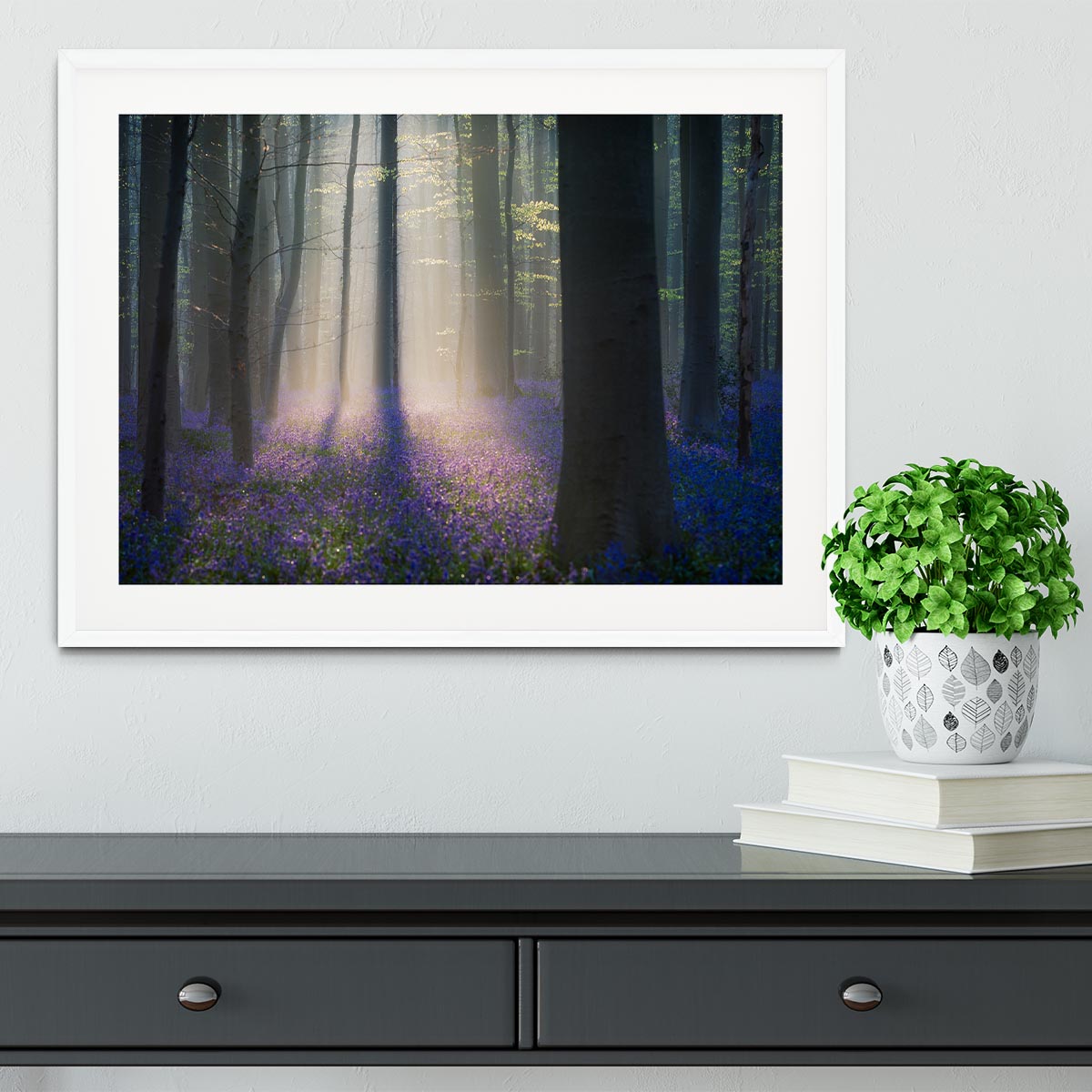 Velvet Light Framed Print - Canvas Art Rocks - 5