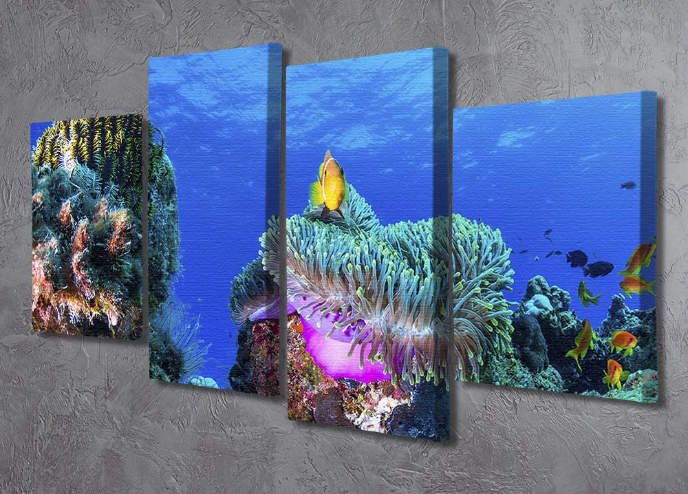 Sea Life 4 Split Panel Canvas - Canvas Art Rocks - 2