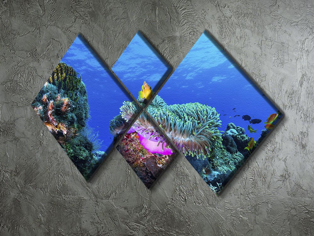 Sea Life 4 Square Multi Panel Canvas - Canvas Art Rocks - 2