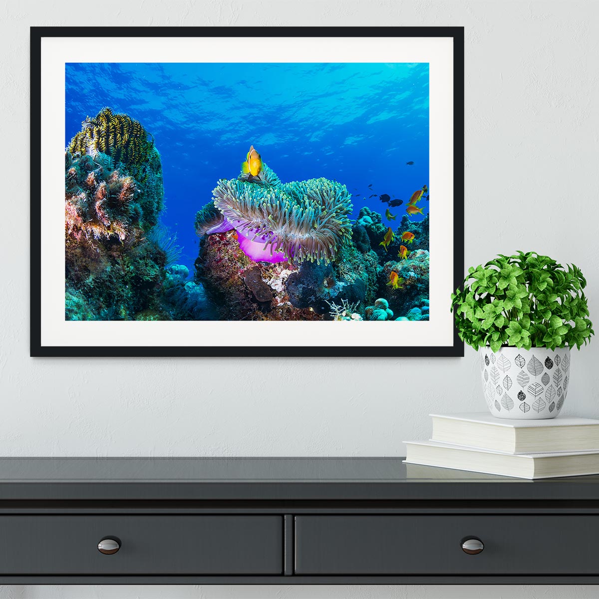 Sea Life Framed Print - Canvas Art Rocks - 1
