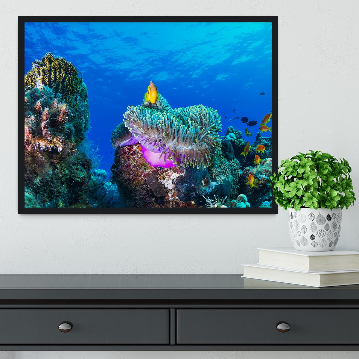 Sea Life Framed Print - Canvas Art Rocks - 2