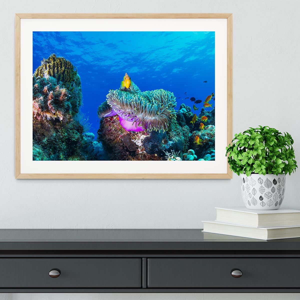 Sea Life Framed Print - Canvas Art Rocks - 3
