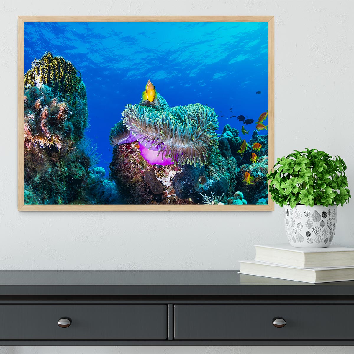Sea Life Framed Print - Canvas Art Rocks - 4