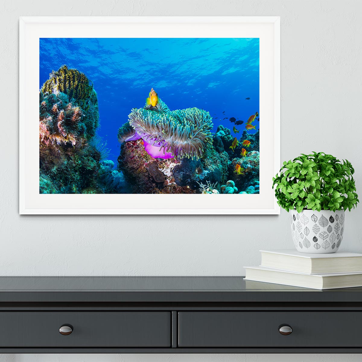 Sea Life Framed Print - Canvas Art Rocks - 5
