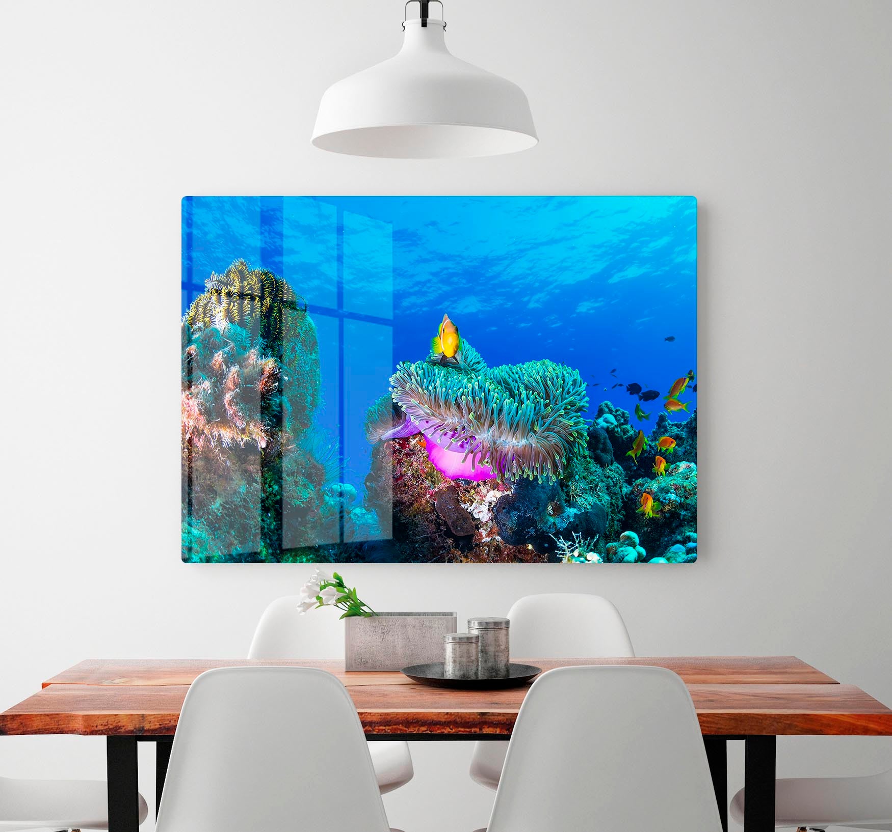 Sea Life HD Metal Print - Canvas Art Rocks - 2