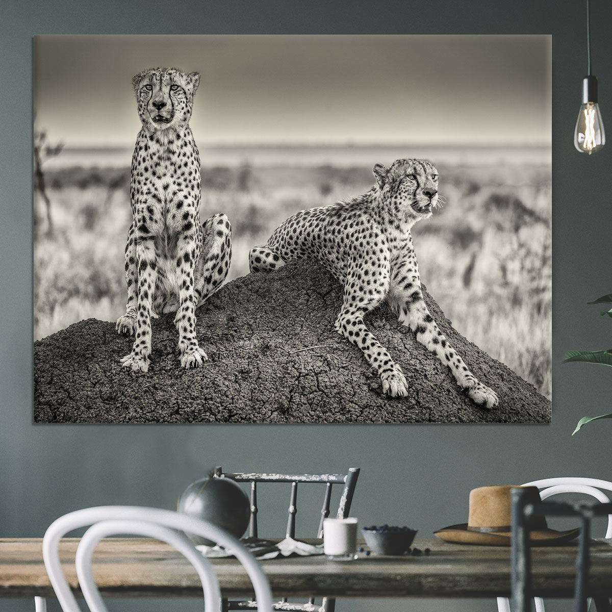 Two Cheetahs watching out Canvas Print or Poster - Canvas Art Rocks - 3