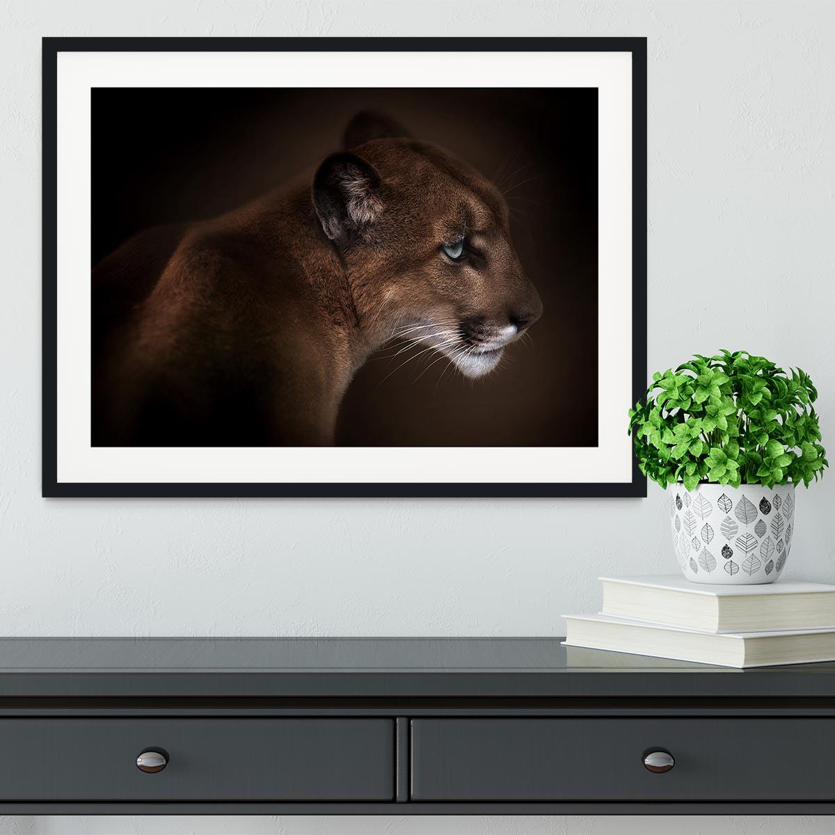 Puma Framed Print - Canvas Art Rocks - 1