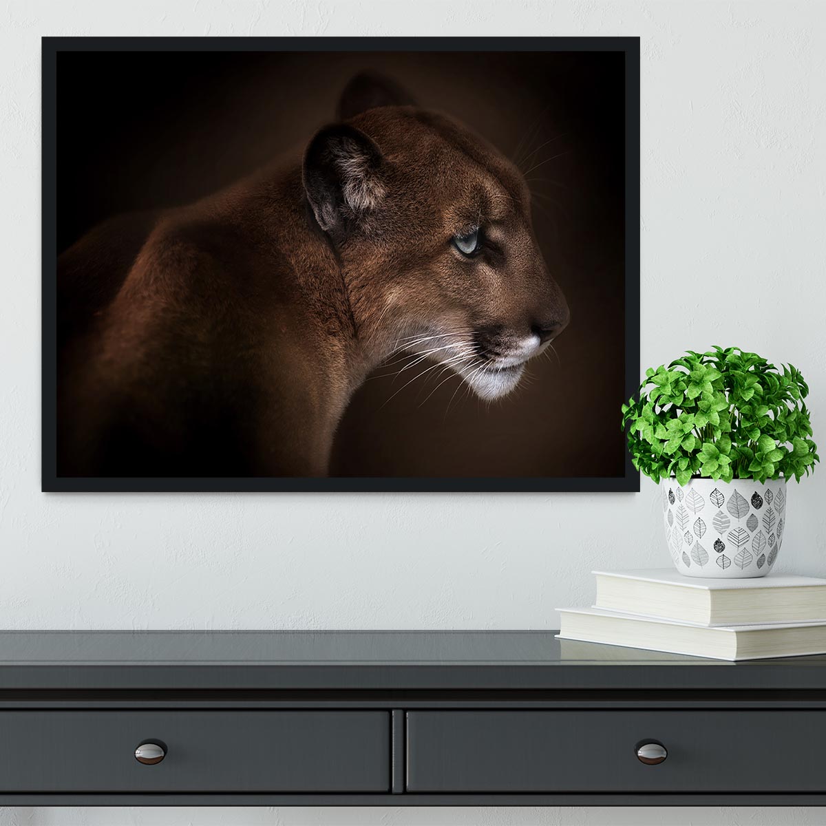 Puma Framed Print - Canvas Art Rocks - 2