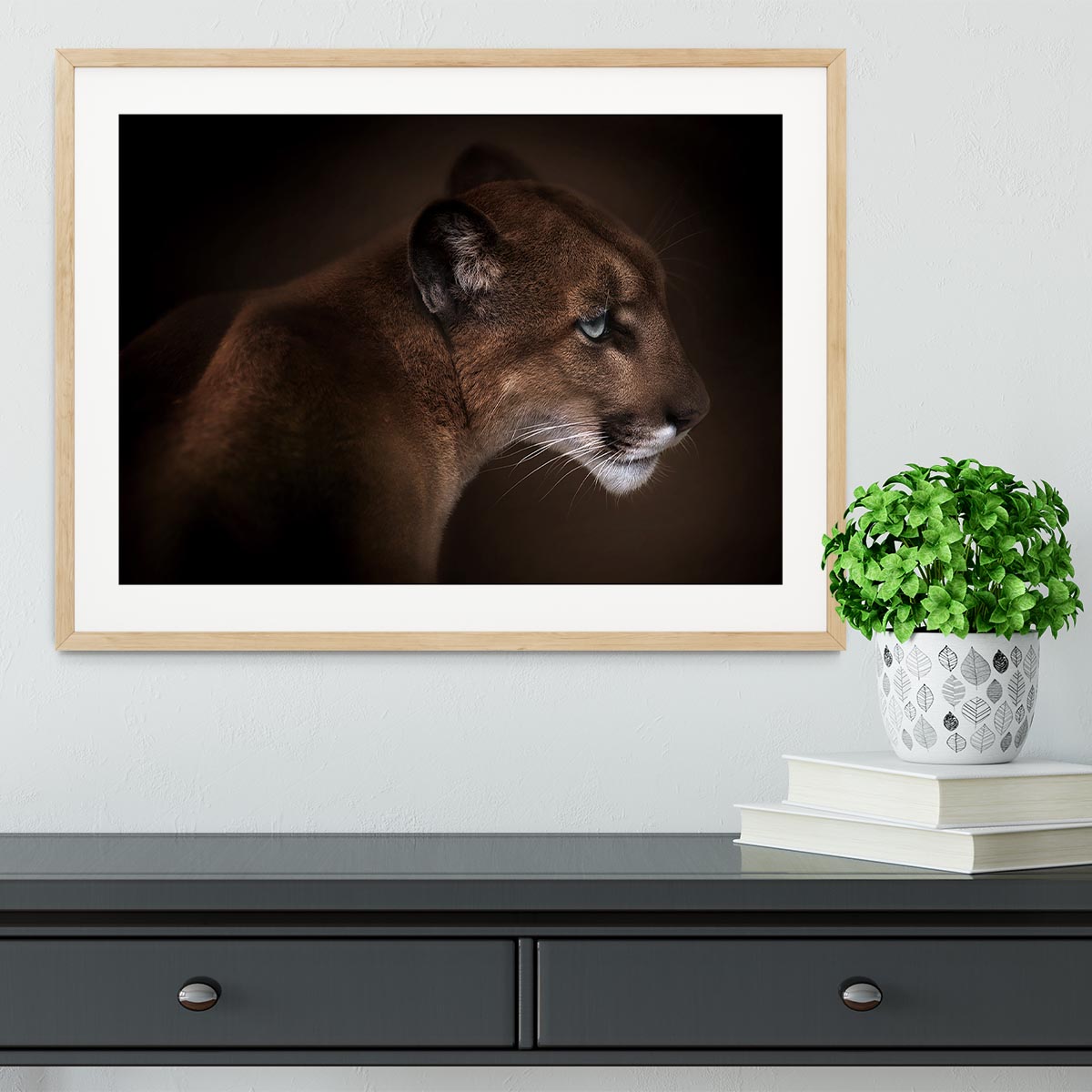 Puma Framed Print - Canvas Art Rocks - 3