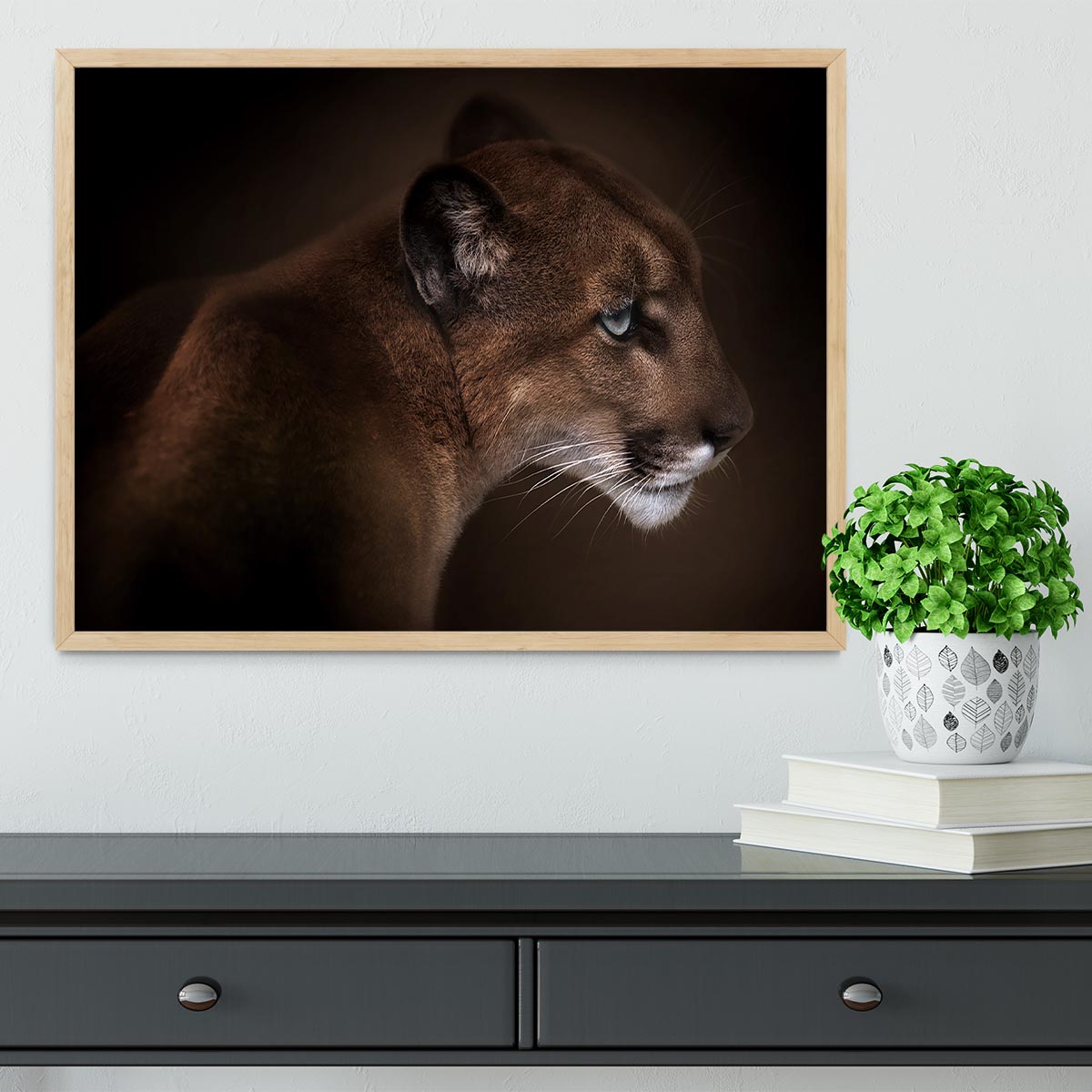 Puma Framed Print - Canvas Art Rocks - 4