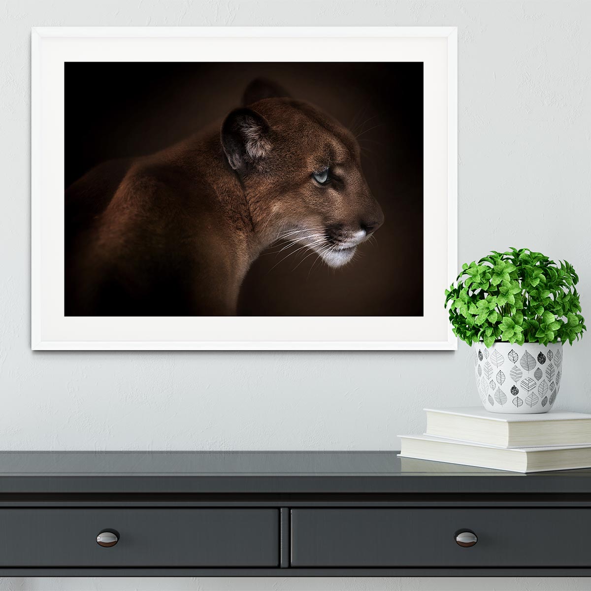 Puma Framed Print - Canvas Art Rocks - 5