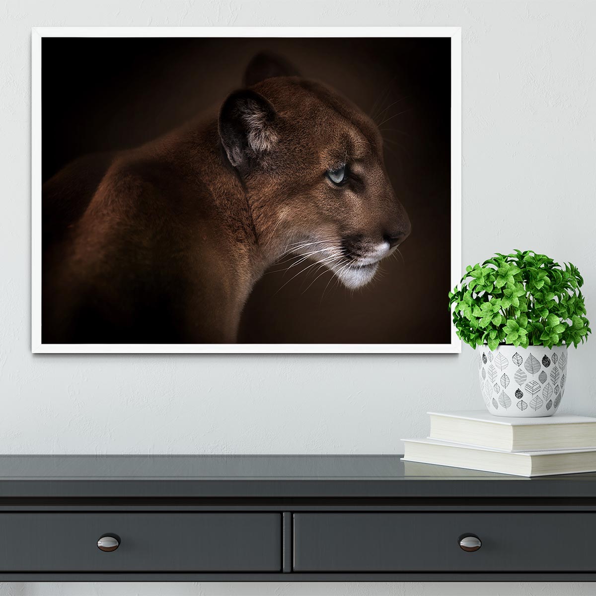 Puma Framed Print - Canvas Art Rocks -6