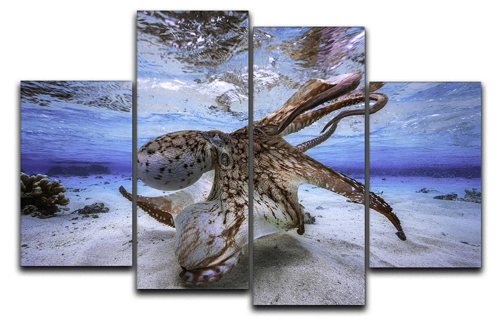 Dancing Octopus 4 Split Panel Canvas - Canvas Art Rocks - 1